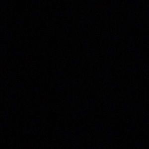 Meet your Posher, Bella